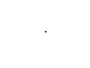 The black dot