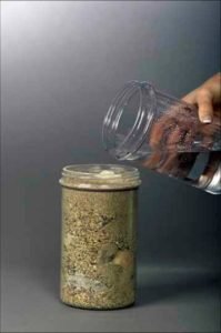 Inspirational Stories