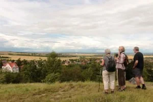 friends are important in life essay