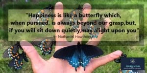Happiness Quotes