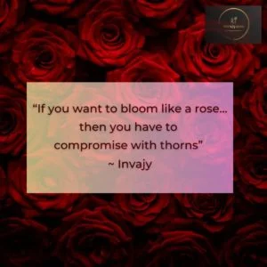 Quotes