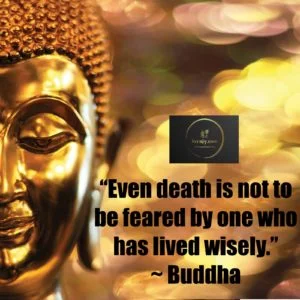 Quotes