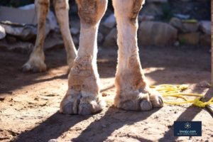 inspirational stories