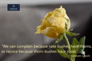 Positive Quote Abraham Lincoln