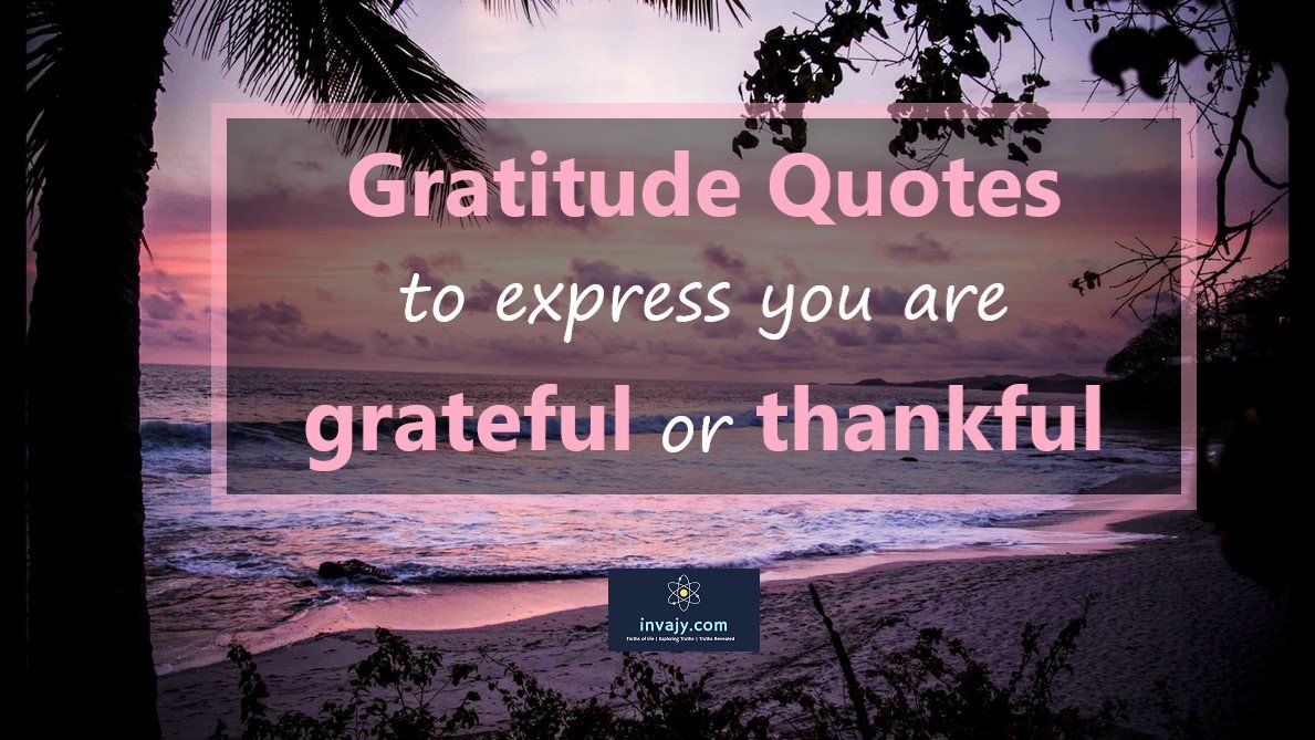 111 Gratitude Quotes to express you are grateful or thankful