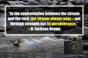 Perseverance Quotes
