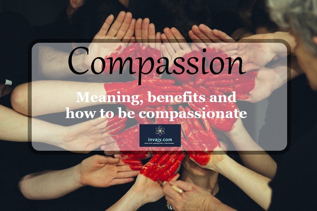 what does compassion mean to you essay