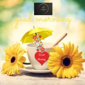 130 Good morning quotes, wishes, messages, videos and images