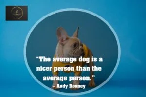 Funny Quotes laugh