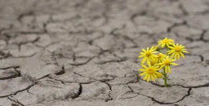 Resilience