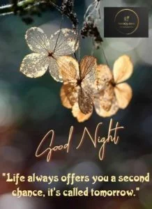 Good Night Messages