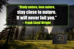 Nature Quotes World Environment Day