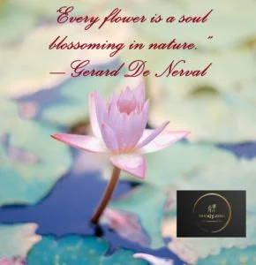 Nature Quotes