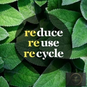 World Environment Day