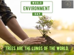 World Environment Day Images