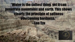 lao tzu quotes