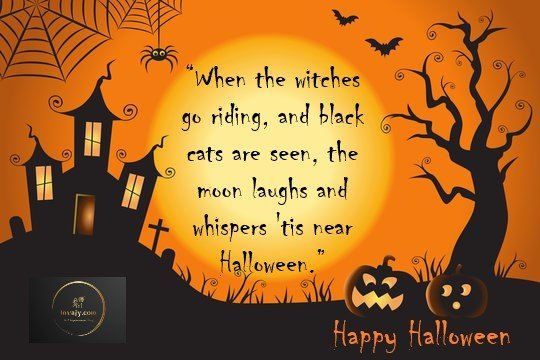 95 Halloween Quotes for Trick-or-Treater's Favorite Spooky Season 95 Halloween Quotes for Trick-or-Treater's Favorite Spooky Season