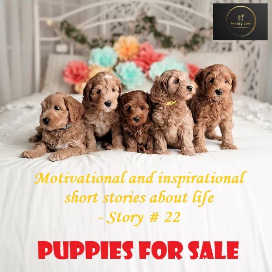 Inspirational Stories about Life – Puppies for Sale (Short Story # 22)