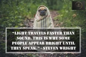 Sarcastic Quotes with funny images