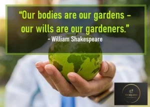 Health Quotes