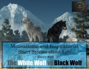 The White Wolf vs Black Wolf