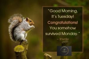 136 Tuesday Quotes to stay motivated during the weekdays 136 Tuesday Quotes to stay motivated during the weekdays