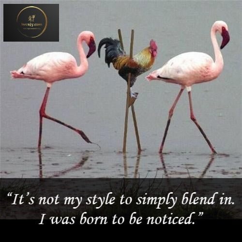 140 Swag Quotes to Show Attitude and Express Yourself Differently