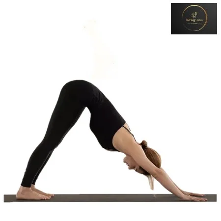 Downward Facing Dog (Adho Mukha Svanasana)