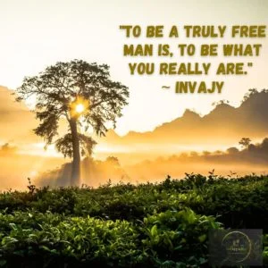 Be Free Quotes