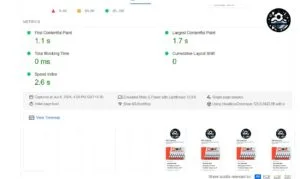 Core Web Vitals (CWV)
