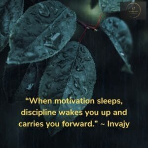 Discipline Quotes