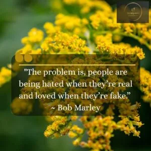 Fake People Quote