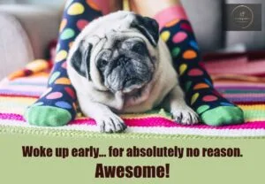 Funny Good Morning Memes