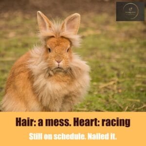 Funny Morning Memes