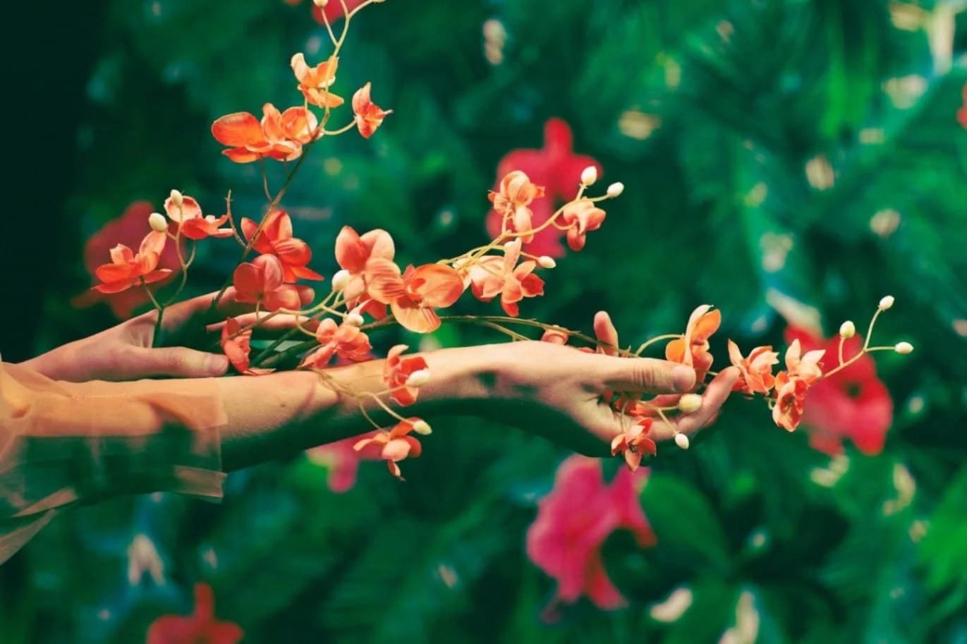 Gentle Rituals for Stress Relief