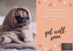 Get Well Wishes