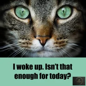 Good Morning Sarcastic memes