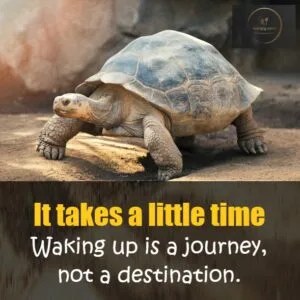 Good Morning memes for late risers