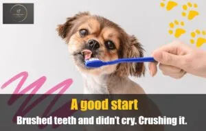 Good Morning memes to start the day with fun