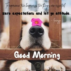 Good morning quotes