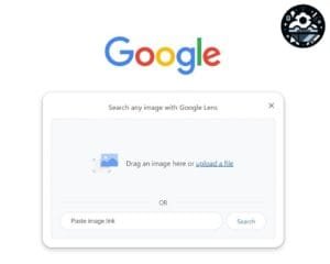 Google Reverse Image Search