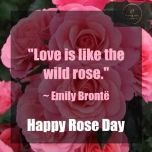 Happy Rose Day Quotes