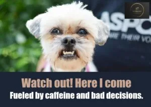 Rise and Shine memes