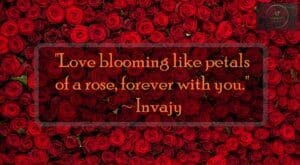Rose Day Quotes